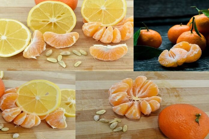 Orange । AGN । allgujaratnews.in । Gujarati News ।