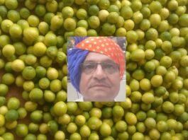 RASHIK BHADANIYA